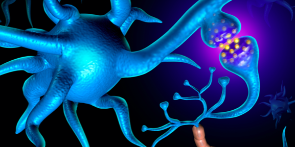 Technika „STEP BY STEP”